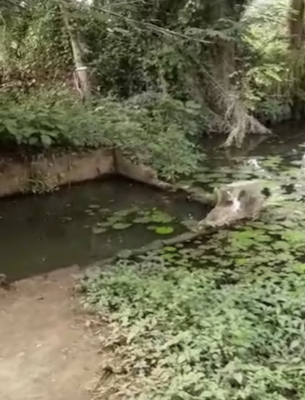 Existing water source