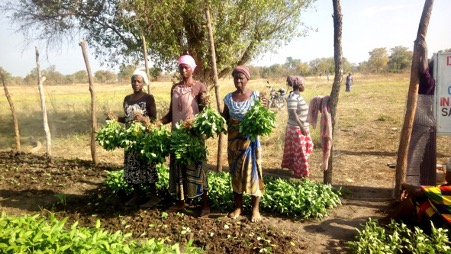 Farming project