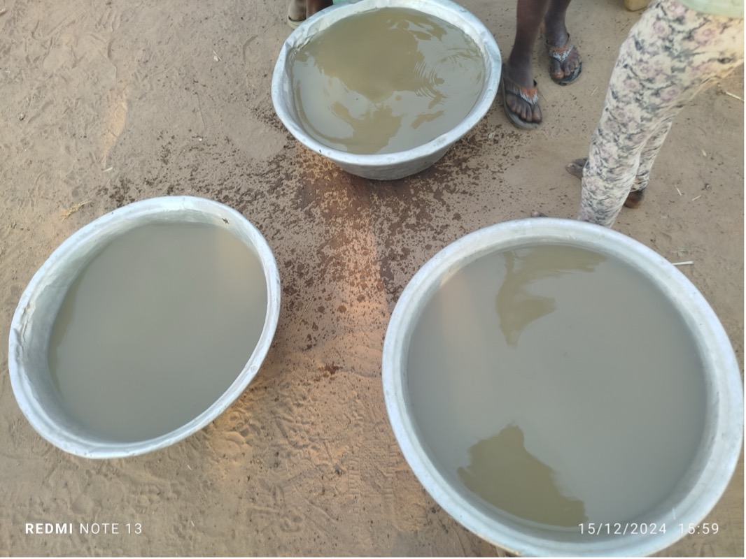 Bowls of grey, contaminated water collected from the river bed