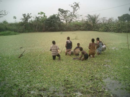 Inspecting borehole