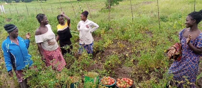 Ladies collecting produce